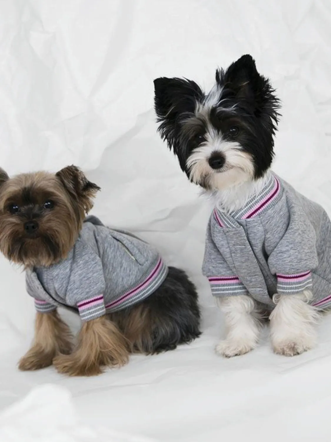 Poldo Dog Couture Baseball Bomber Jacket Grey