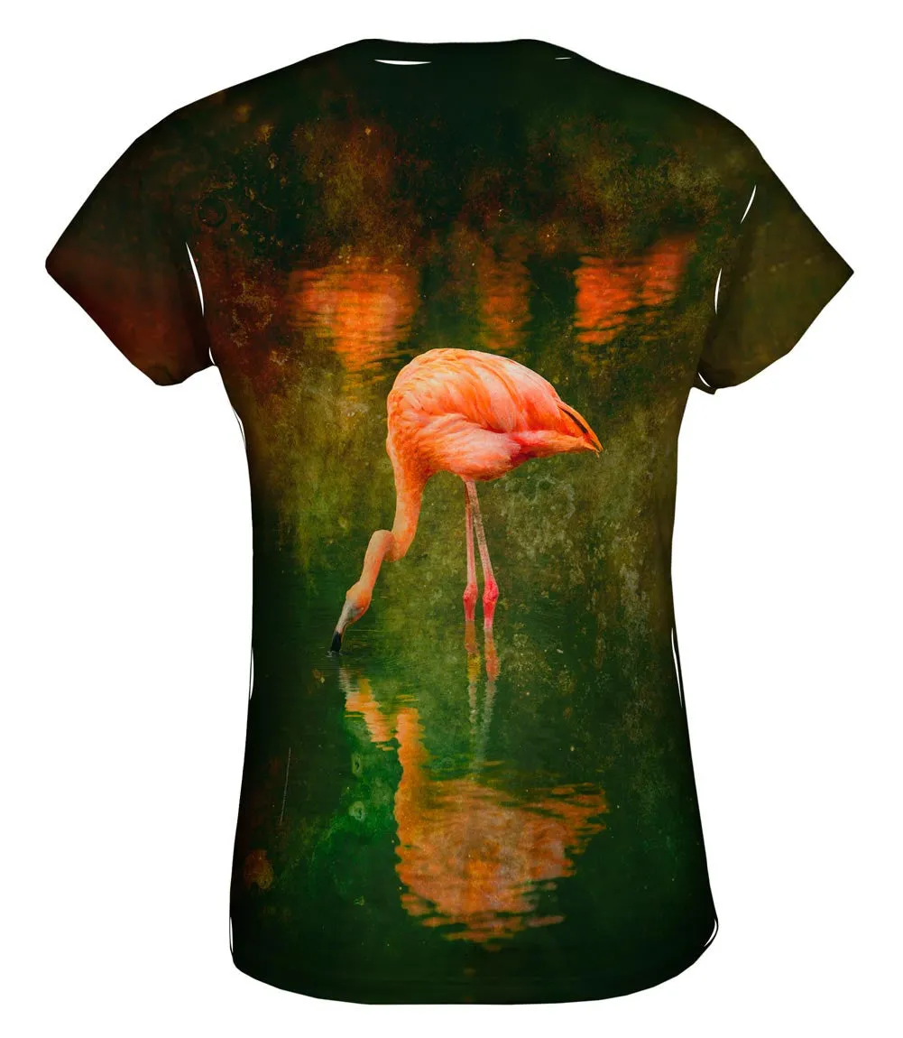 Stain Lake Flamingo